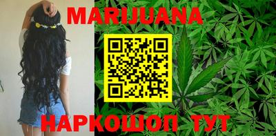 гидра Кандалакша